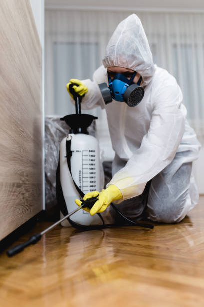 Reliable Old Saybrook Center, CT Pest Control Solutions